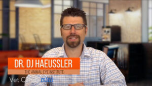 Dr. DJ Haeussler of the Animal Eye Institute speaks about corneal disease